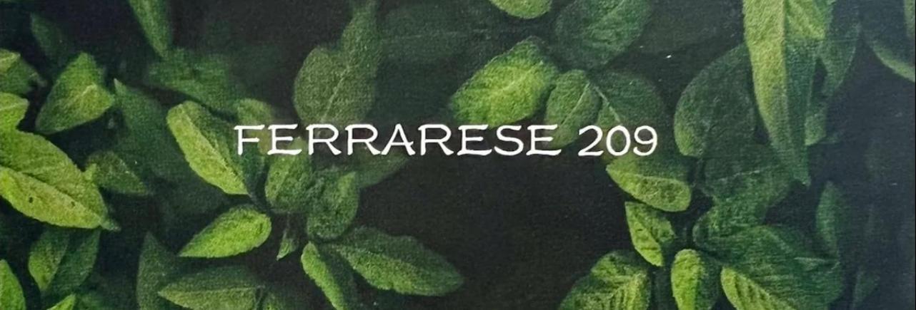 Ferrarese209 Lägenhet Bologna Exteriör bild